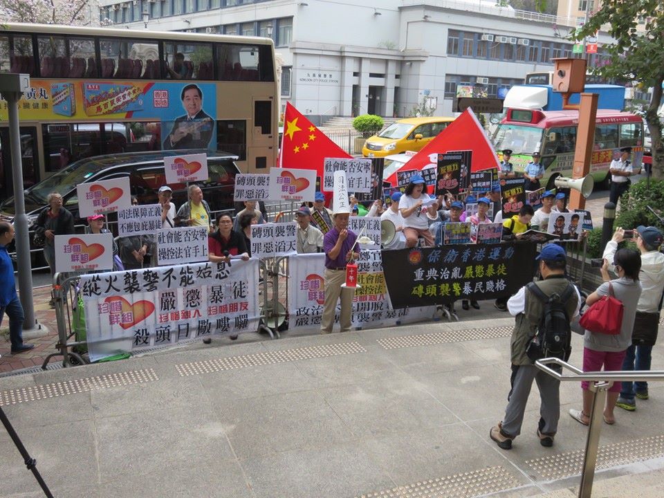 pro-govt protest