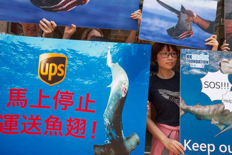 UPS shark fin protest