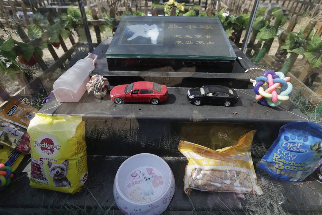 Toy cars, water and food are left around the tomb of pet dog Zhang Xiaoqiu at Baifu pet cemetery. Photo: Jason Lee/Reuters.