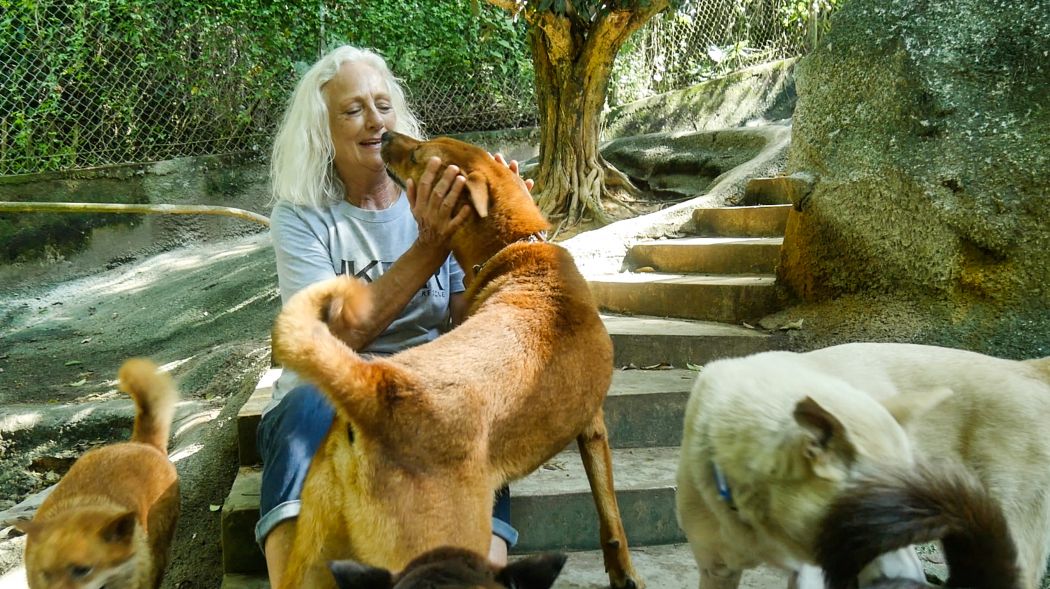 Sally Andersen interacting with a dog at HKDR's Tai Po Homing Centre