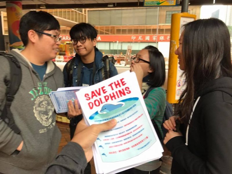 save the dolphins roni wong ocean park