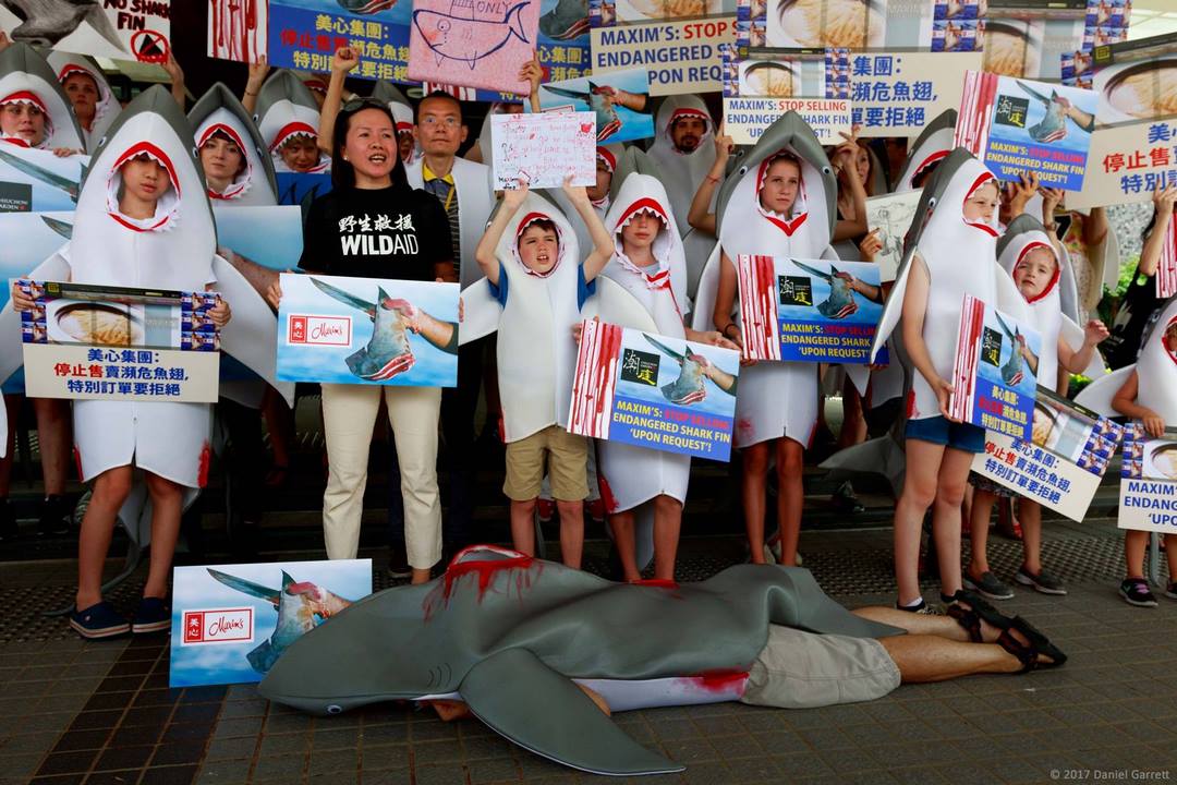shark fin wildaid maxim protest