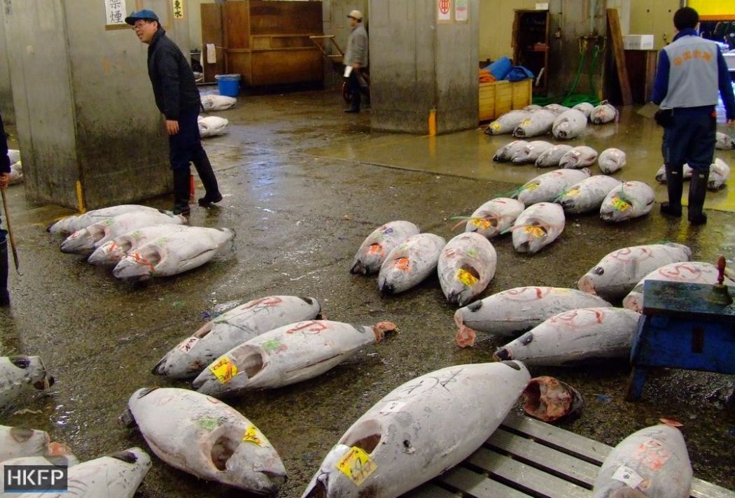 Tokyo - Fish Market 