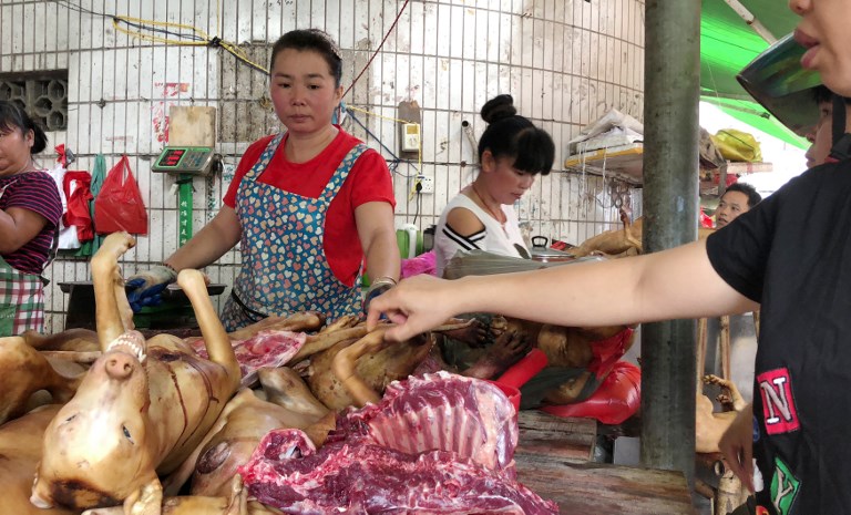 dog meat yulin