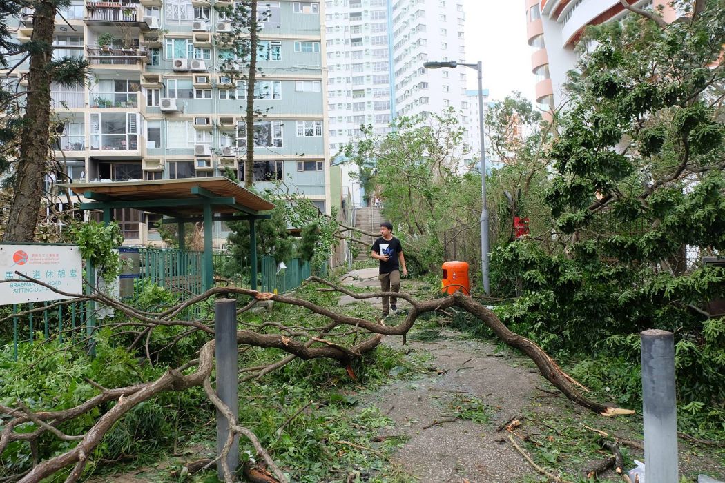super typhoon mangkhut aftermath