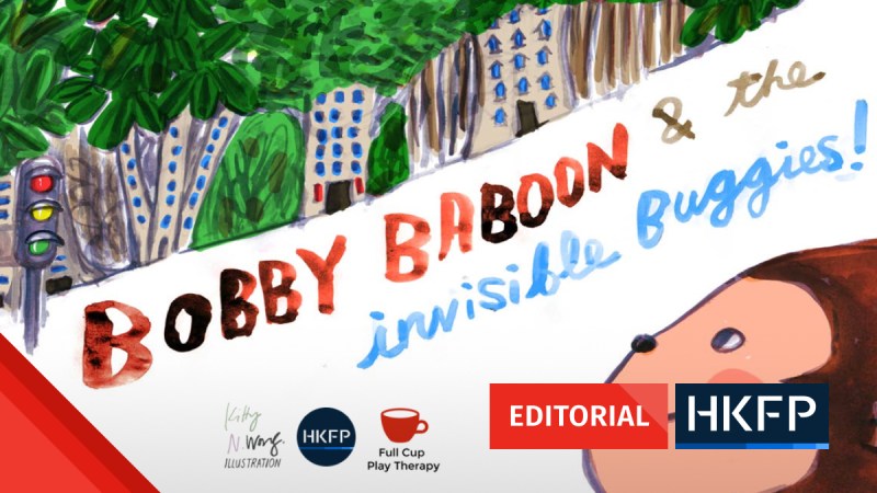 covid19 childrens book bobby baboon