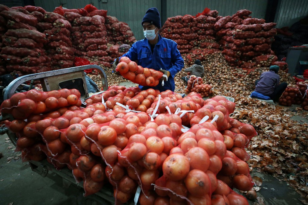 China onion vendor