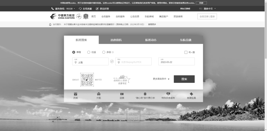 China Eastern plane crash website b&w