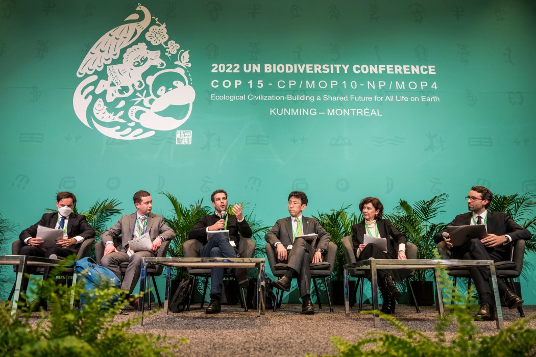 A panel discussion at COP15 in Montreal, Canada, on December 11, 2022. Photo: UN Biodiversity.