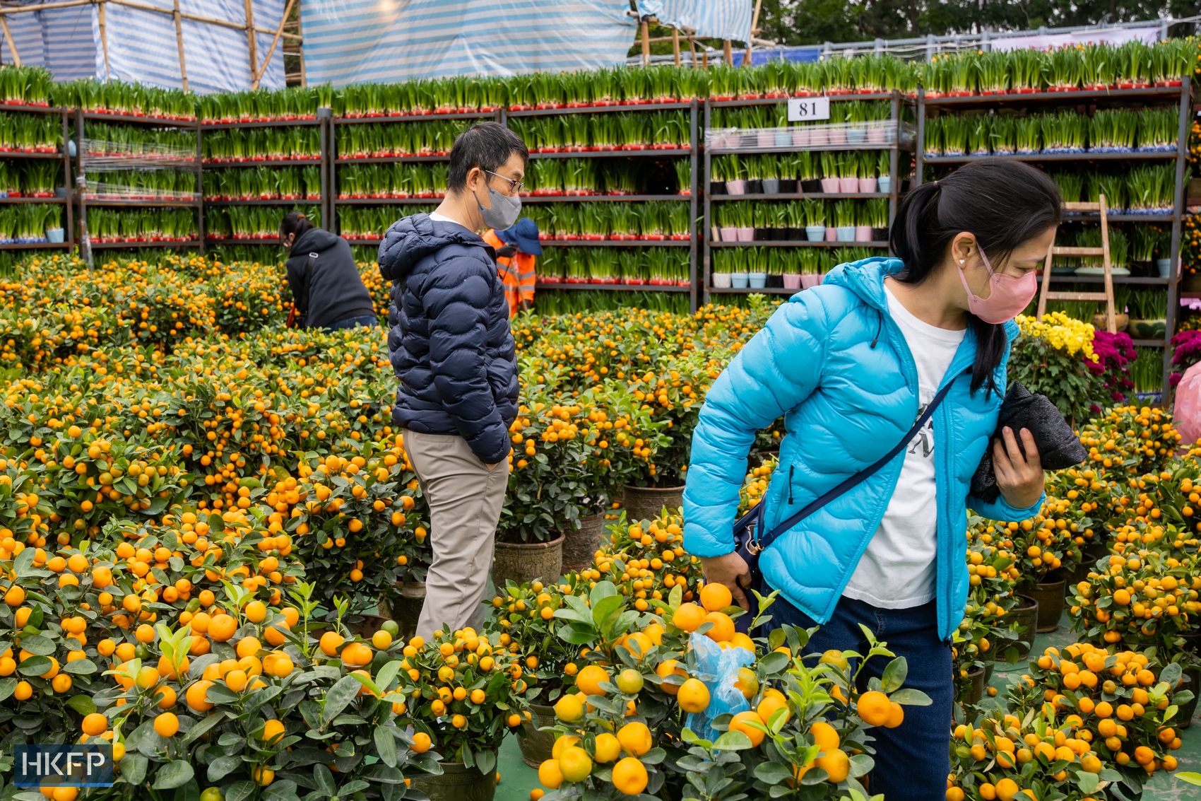 People browse flower stalls at a Lunar New Year fair in Causeway Bay, Hong Kong, in January 2023. Photo: Kyle Lam/HKFP.