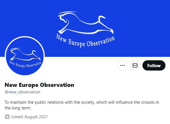 A screenshot of the New Europe Observation Twitter account, which was identified by tech giant Meta as being part of a disinformation campaign. Photo: Screenshot.