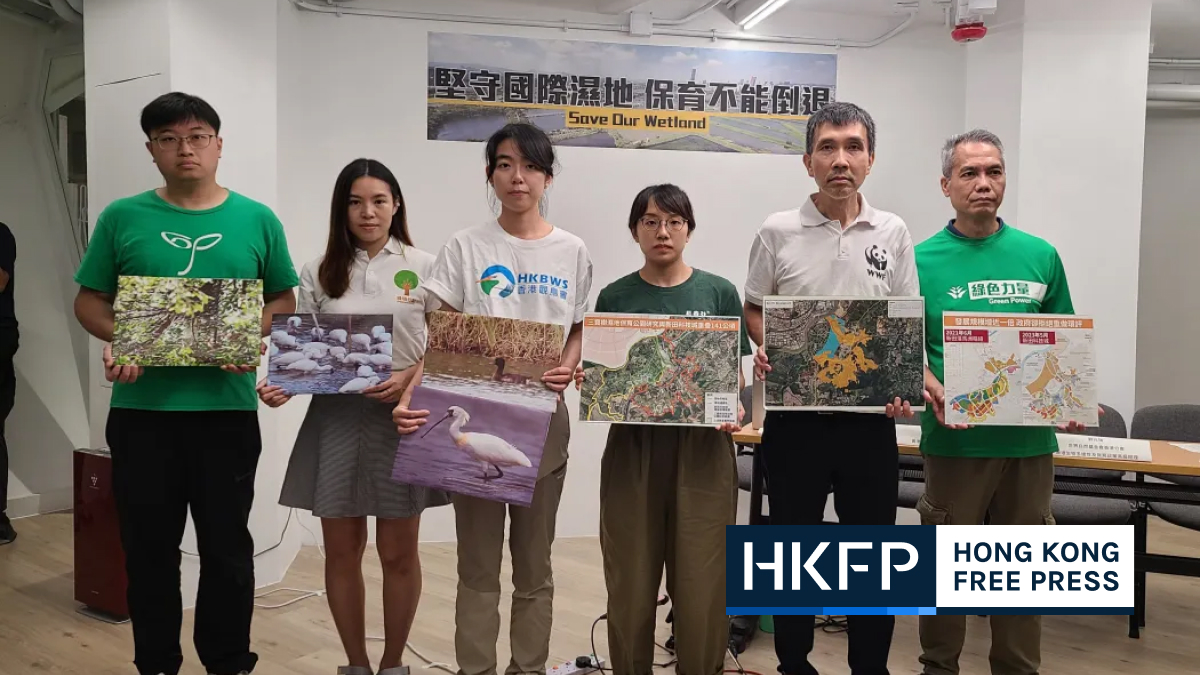 Technopole development may harm swathes of Hong Kong wetland, say green groups