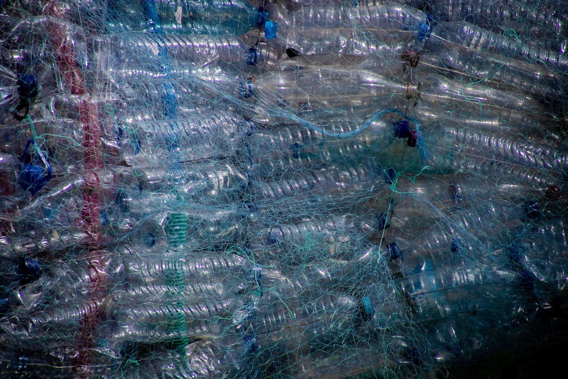 photo of plastic bottles