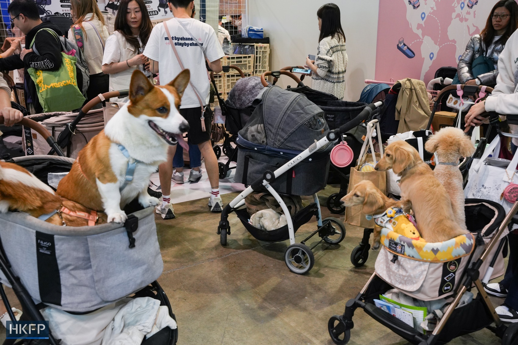 The Hong Kong Pet Show 2024 opens on January 25, 2024 at the Hong Kong Convention and Exhibition Centre, Wan Chai. Photo: Kyle Lam/HKFP.
