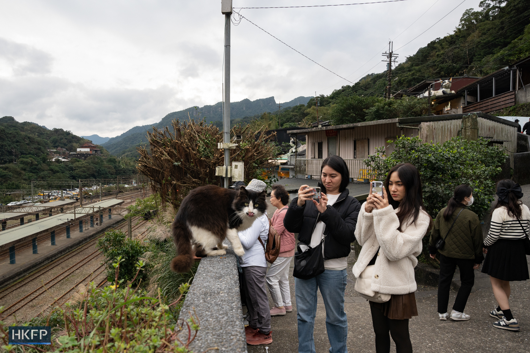 Des touristes prennent des photos avec un chat dans le village des chats de Houtung à Taipei, le 8 janvier 2024. Photo : Kyle Lam/HKFP