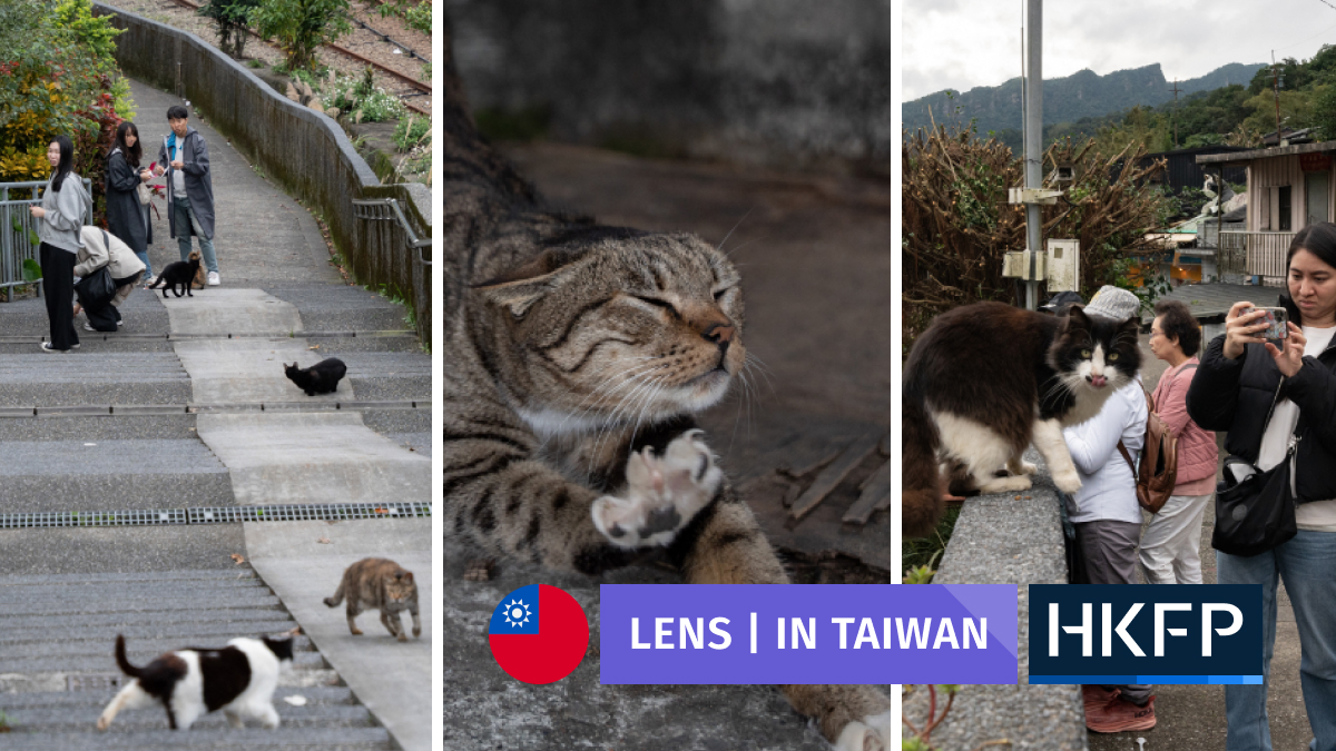 HKFP Lens: Cat lovers bring tourism boost to Taiwan village, as feline residents revive once-flourishing mining town