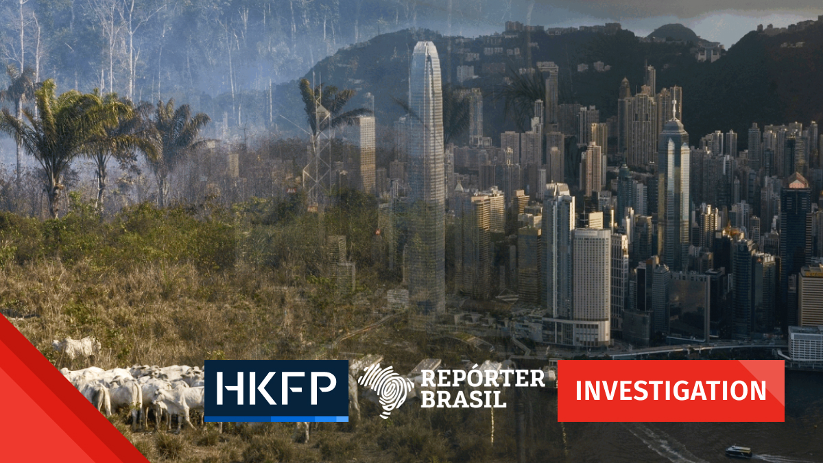 Investigation: Hong Kong’s role in illegal deforestation of the Amazon rainforest in Brazil