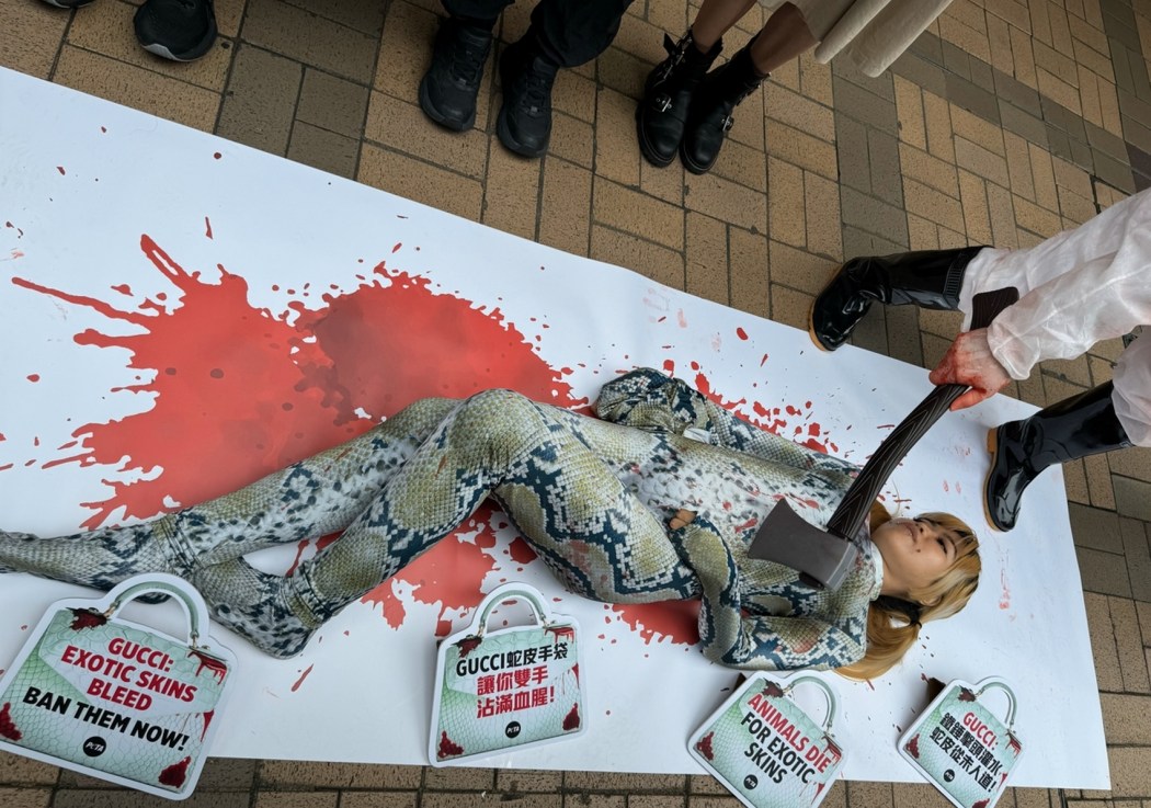 Activists from PETA protest the use of exotic skins by Gucci and parent firm Kering
